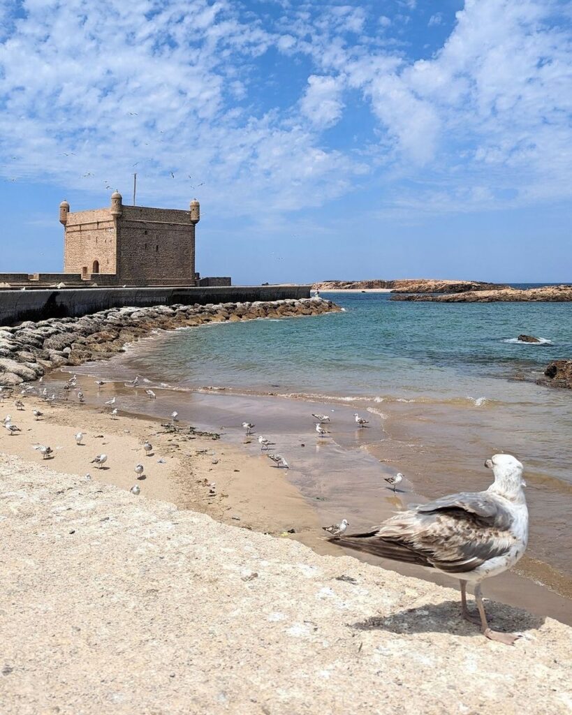 Essaouira, Morocco Paradise