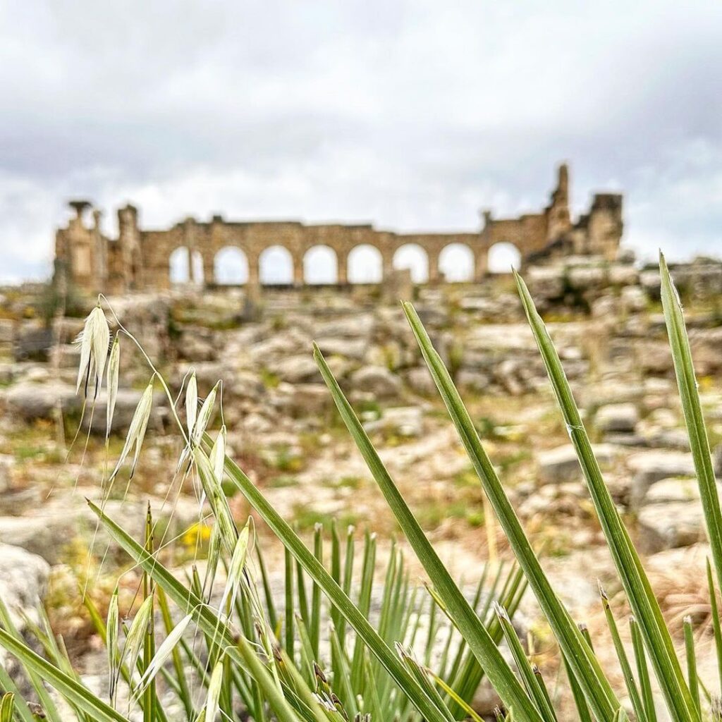 the Basilica, View of ancient Roman ruins and intricate mosaics at Volubilis, Morocco.