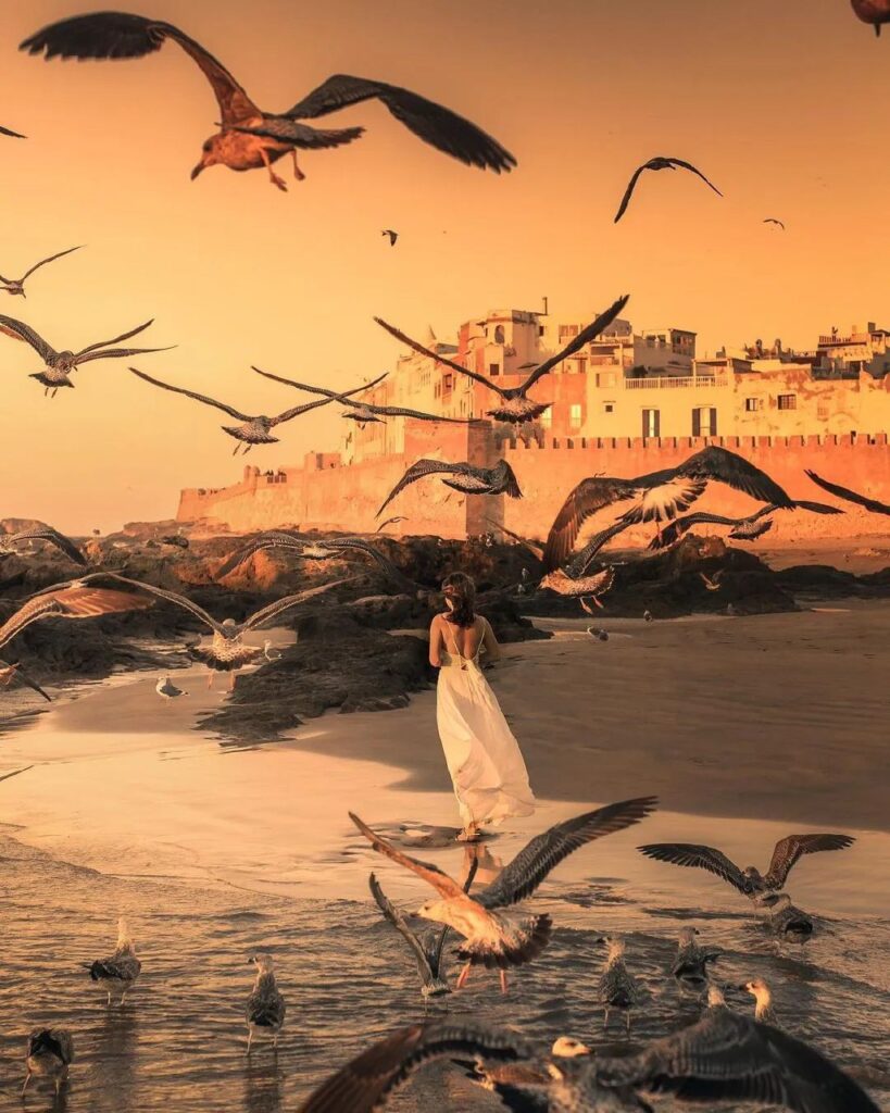 Essaouira, Morocco Paradise