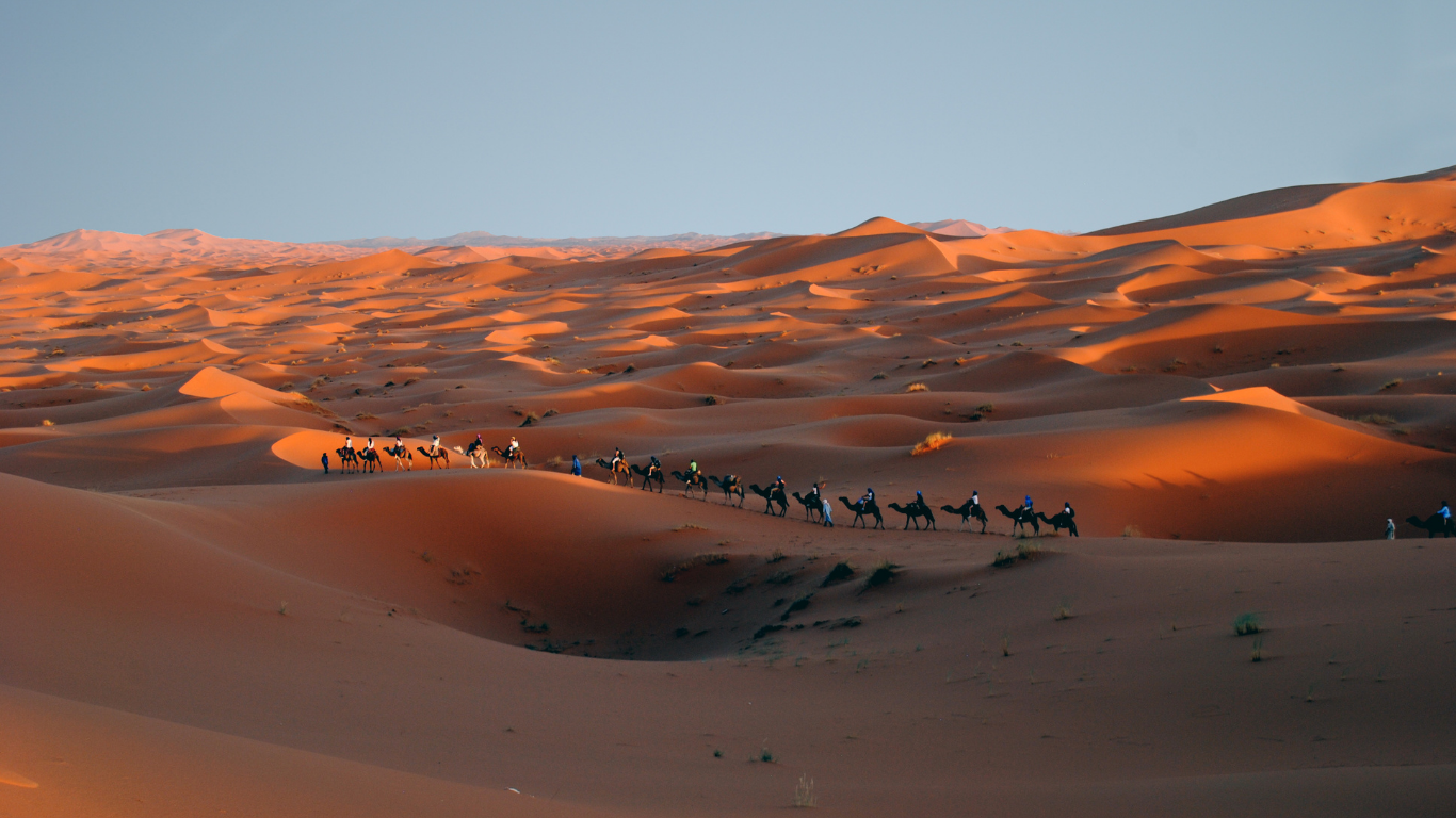 desert-canva3.png