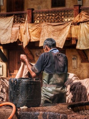 Fes/Fez morocco 2 days excursion