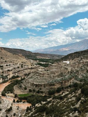 351273305_785214893157606_2356939208427821081_n