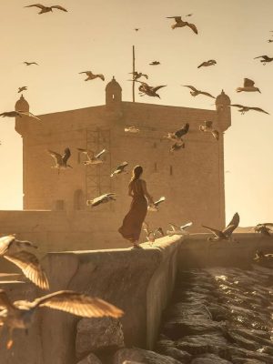 Essaouira, Mogador, Essaouira Mogador, Morocco 1-day trips